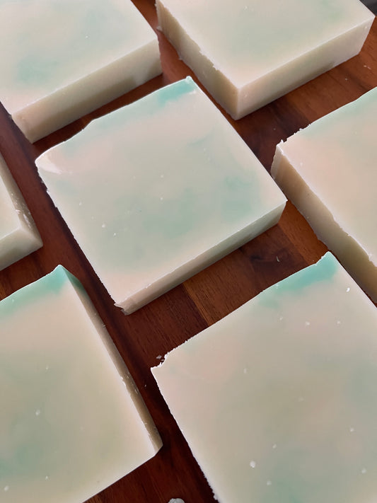 Nice Melons Artisan Bar Soap - Little Sister Artisan Products